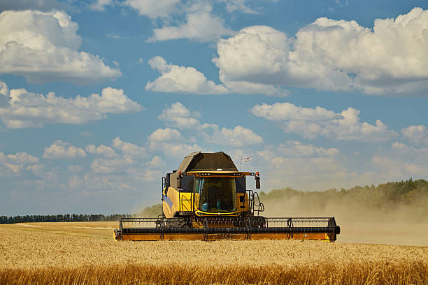 istock Combine harvester harvests ripe wheat. 2242773327