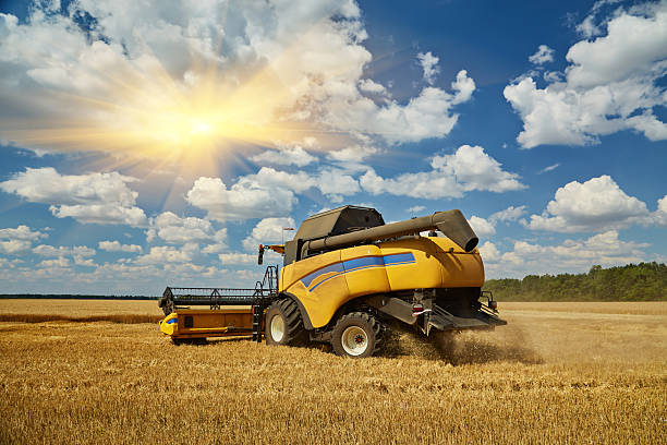 istock Combine Harvester Cutting Wheat, Summer Landscape of endless 2242773344
