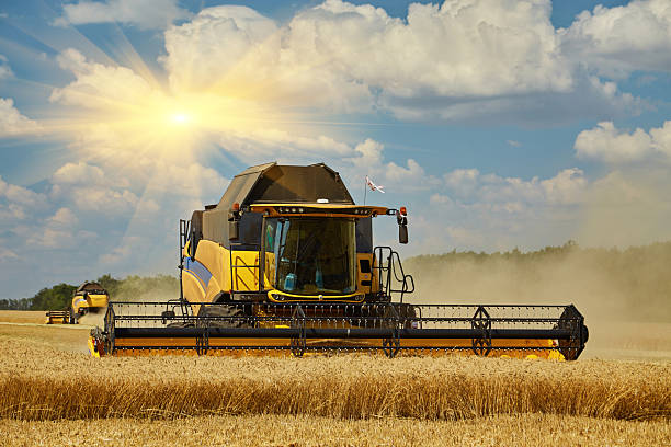 istock Combine harvester harvests ripe wheat. 2242773346