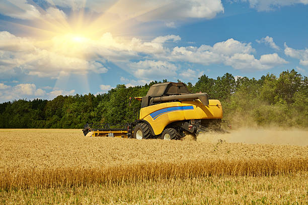 istock Combine harvester harvests ripe wheat. 2242773361
