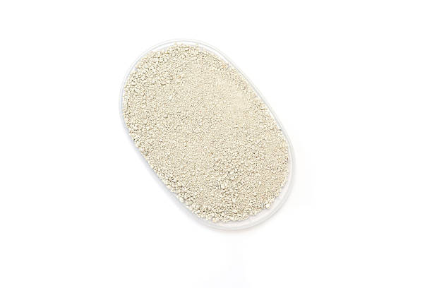 Transparent container holds fine white small granules of cat litter, emphasizing a clean aesthetic and functional design, suitable for storage and organization in various settings Pet care. View from above.