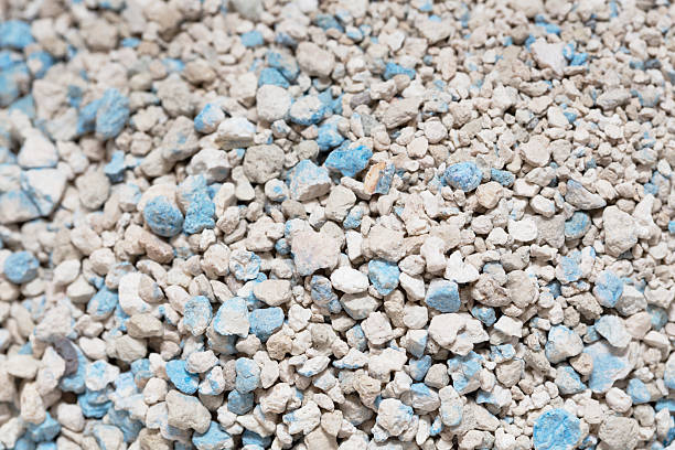 istock Textured  cat litter granules at litter with blue flecks. emphasize natural absorbent materials suitable for pet care. 2242774298