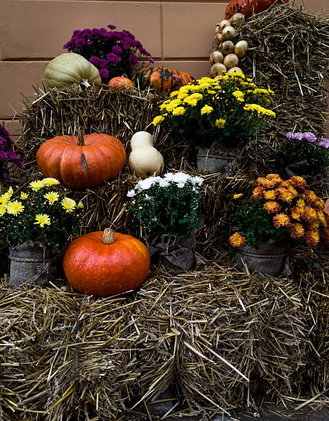 October Decorations