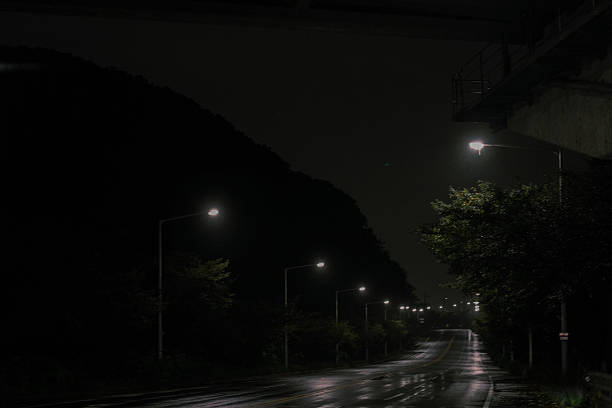 A deserted road at night, glistening with rain and illuminated by a row of street lights. Reflections on the wet pavement create a somber and tranquil urban atmosphere. This scene captures the quiet stillness after the rain in a city or suburban setting.
