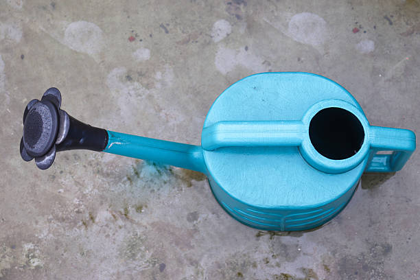 A vivid blue plastic watering can, complete with a detachable rose sprinkler head, is presented from a top-down perspective. It lies on a damp, textured surface, ready for use in nurturing plants or p