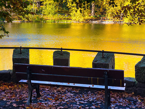Fall trees landscape in vibrant colors, Autumn season.