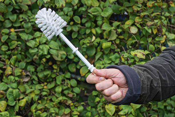 istock A man hand in black clothes holds a single white plastic toilet brush 2242789947