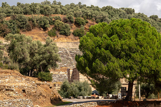 The ancient theatre of Nysa is partially hidden behind olive and pine trees on a hillside. The stone seating rows rise from the earth, blending harmoniously with the natural landscape and reflecting the coexistence of ancient architecture and Mediterranean vegetation.