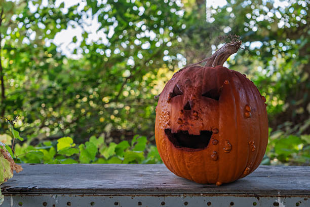 Close-up of scary carved pupkin outdoors for Halloween