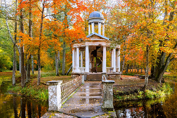 istock Late autumn patterns in old public park 2242793159
