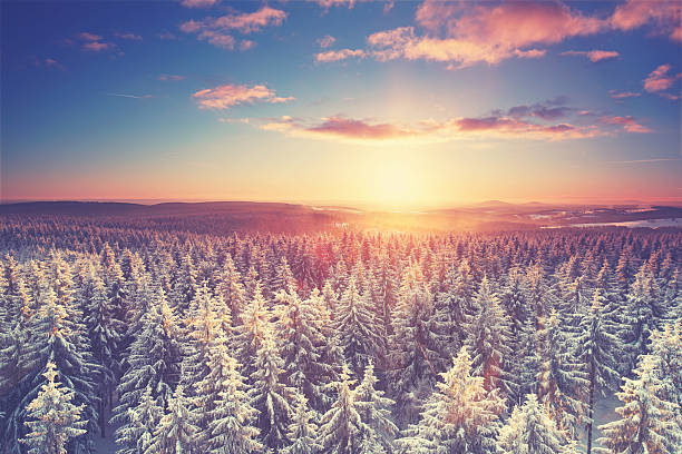 istock sunrise in the mountains over the winter snow covered forest 2242793854