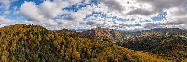 istock Panoramic view of autumn Carpathian mountains under cloudy sky 2242794860
