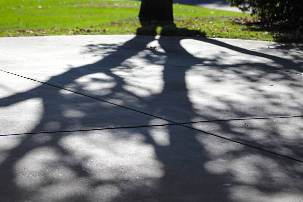 A tree's shadow cast across sunlit concrete highlighting the stark contrast between light and dark. Abstract concepts. Overshadowing. Eclipsed, outshone. Casting doubt. Landscape with copy space