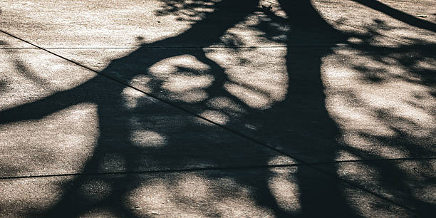 istock Overshadowing. A tree's shadow is cast across sunlit concrete. Abstract concepts. 2242795929