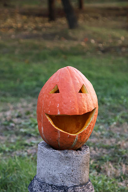 istock Jack-o'-lantern made from raw pumpkins 2242799930