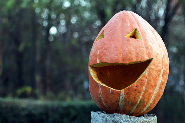 istock Jack-o'-lantern made from raw pumpkins 2242799934
