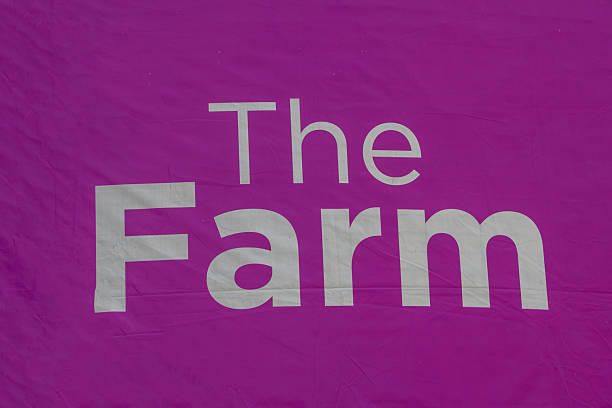 The farm banner on purple background