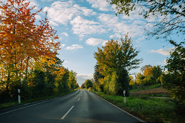 A peaceful rural road lined with colorful autumn trees under a bright blue sky. The image evokes freedom, travel, and the calm beauty of the countryside in fall.