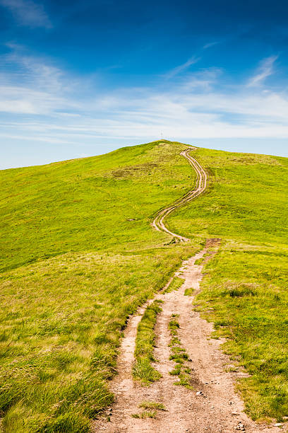 istock carpathian mountain landscape with hiking trail in summer 2242806602
