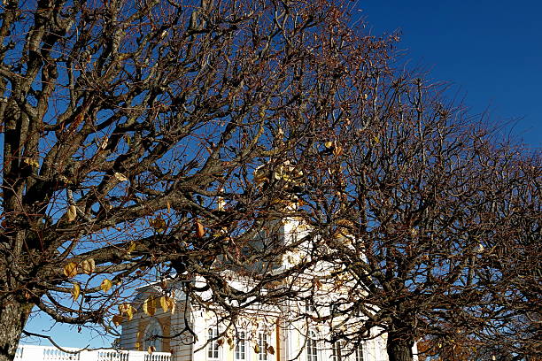 In October, through the branches of trees painted in gold and crimson tones, a view of the cathedral opens up. The silhouette of the cathedral looks especially impressive during this period. When the trees shed their leaves, their dark, graphic branches create a subtle pattern through which the domes and patterned facades of the cathedral can be seen.