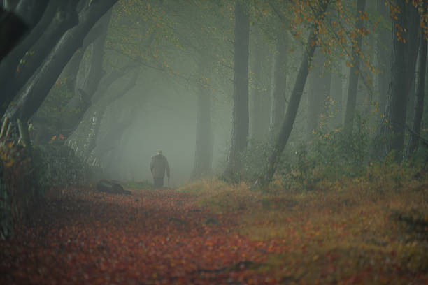 An unidentifiable elderly man out walking at a rural misty rural autumn woodland landscape at Upper Moor, Darwin Forest in the Derbyshire Dales, England, UK.