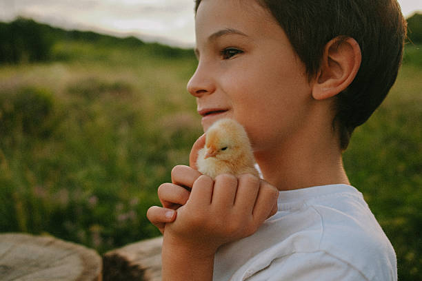istock Cute little boy and his baby chick 2242811756