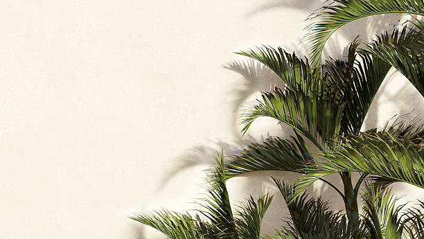istock Empty simple podium for product presentation. Palm tree leaves and smooth shadows. Smooth green background with bright sunlight. 3d rendering 2242813514