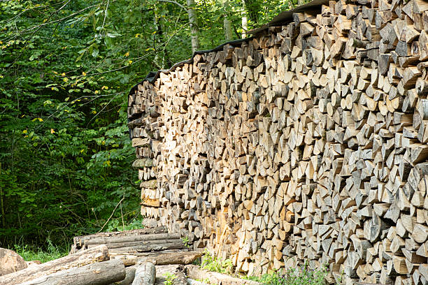 istock Firewood Prepared for Winter, Natural Rural Scene 2242813697