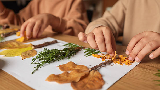 istock Children creating art with leaves and twigs 2242814261