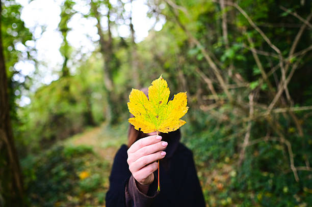 Woman's hand holding a vibrant yellow leaf, hiding her face in a lush green forest setting