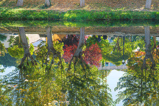 Calm river water reflecting lush autumn trees and distant buildings, creating a striking symmetrical illusion with an inverted perspective between nature and man-made structures