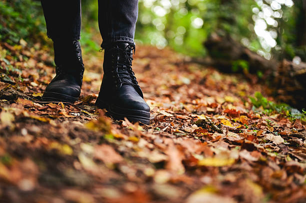 istock Person walking through fallen leaves on a forest path 2242823073