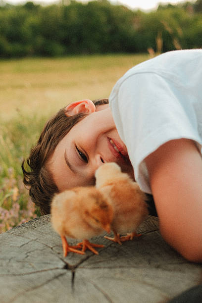 istock Cute little boy is playing with baby chicks 2242825566