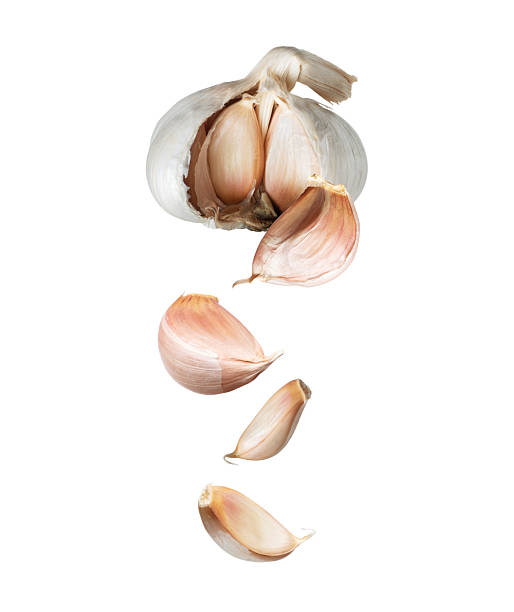 Garlic unfolds in the air close-up isolated on a white background