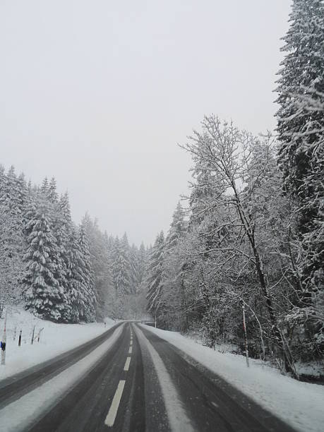 istock Snowy road with trees in the background 2242843396
