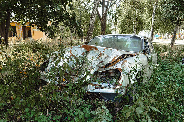 istock Heavily damaged old car abandoned in dense overgrown greenery after a war 2242845636