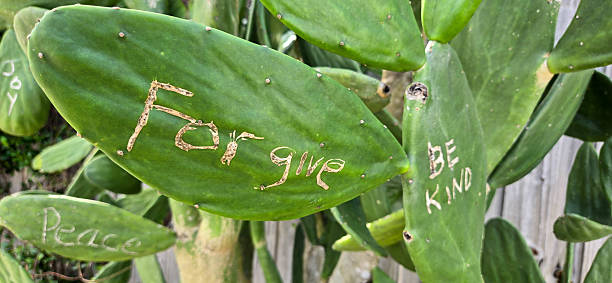 istock Cactus Leaf With The Words Forgive and Be Kind and Peace and Joy Carved On The Surface 2242849812
