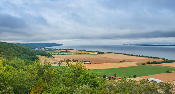 istock Vast farmland landscape with lake and cloudy sky.. 2242853072