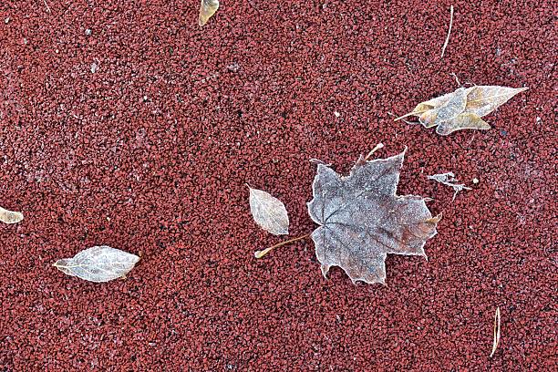 Frosted autumn leaves lying on red rubber playground surface on a cold morning, textured background showing seasonal transition.