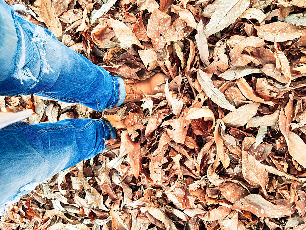 Wowan standing in  a forest in autumn