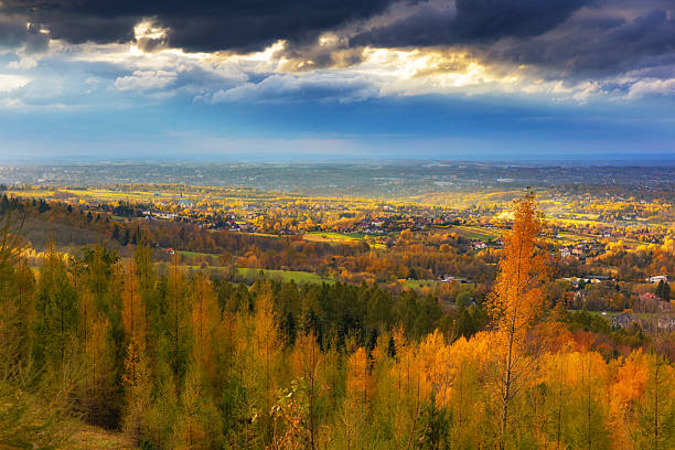 Autumn landscape in a quarry surrounded by colorful trees, Poland, Silesian Voivodeship