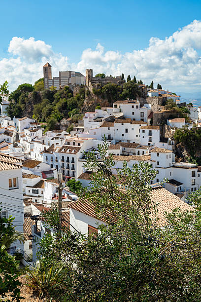 istock Casares, Spain, with olive tree in foreground and castle in background 2242864119