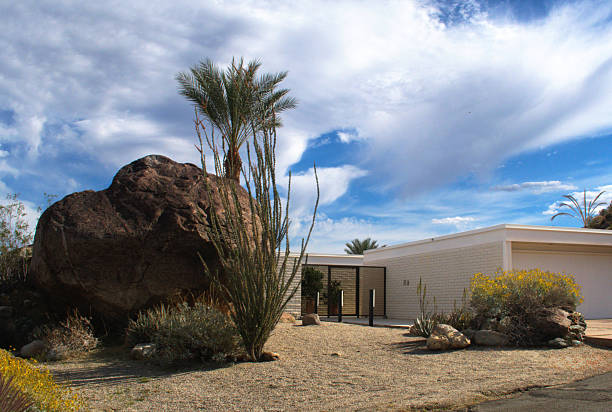 Desert garden with a variety of arid plants and trees.  A beautiful way to conserve water.  Palm Springs California.  Agave,Saguaro,cactus and palm trees.
