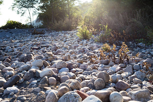 Low Angle View of Sunlight Hitting Rocky Riverbed or Shore