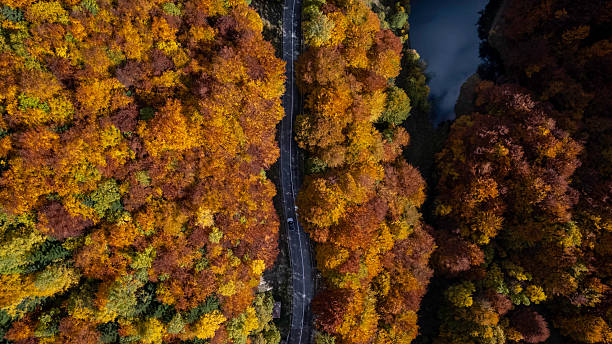 istock Aerial view winding road through colorful autumn forest 2242870898