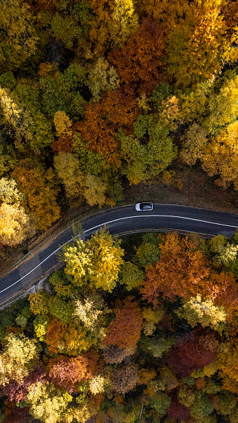 istock Aerial view car driving on winding autumn forest road 2242871049