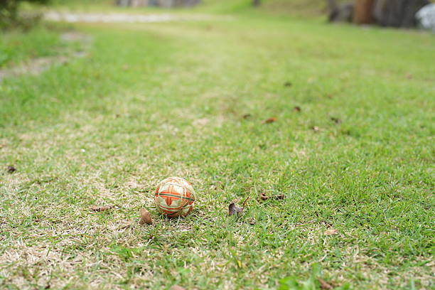 For similar images of this ball or different types of ball click the links below or see my Lightbox of 
