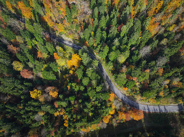 istock AERIAL TOP DOWN: Asphalt mountain road winds through a vibrant autumn forest 2242874912