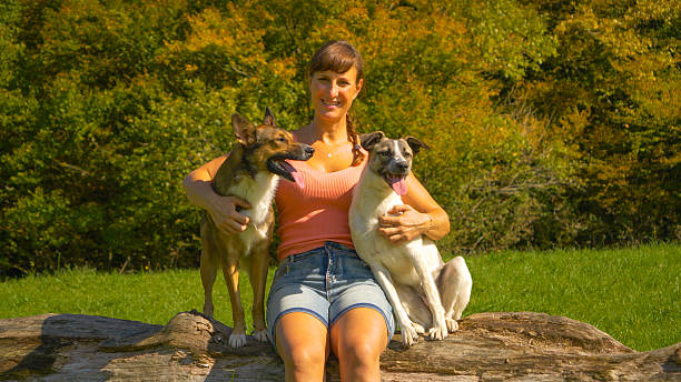 istock PORTRAIT: Joyous woman hugs her two adopted dogs while sitting on fallen log 2242875551