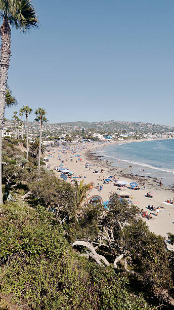 istock Crowded Laguna Beach shoreline with palm trees and coastal hills 2242884019